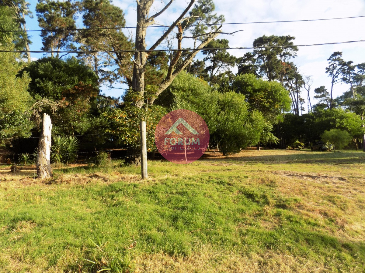 TERRENO EN VENTA 1075 MTS. PIEDRA DEL CHILENO