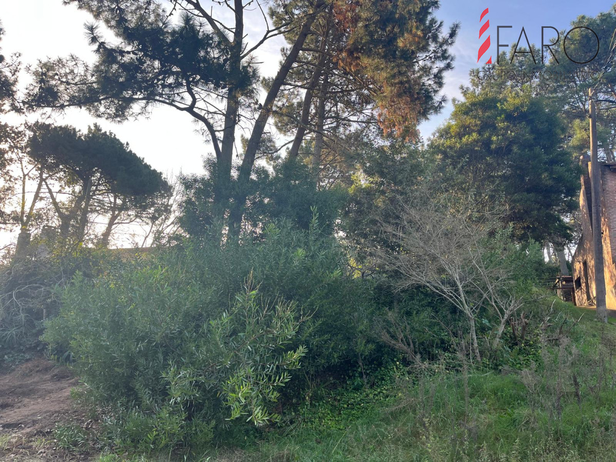 Lindo lote en venta en Pinares.