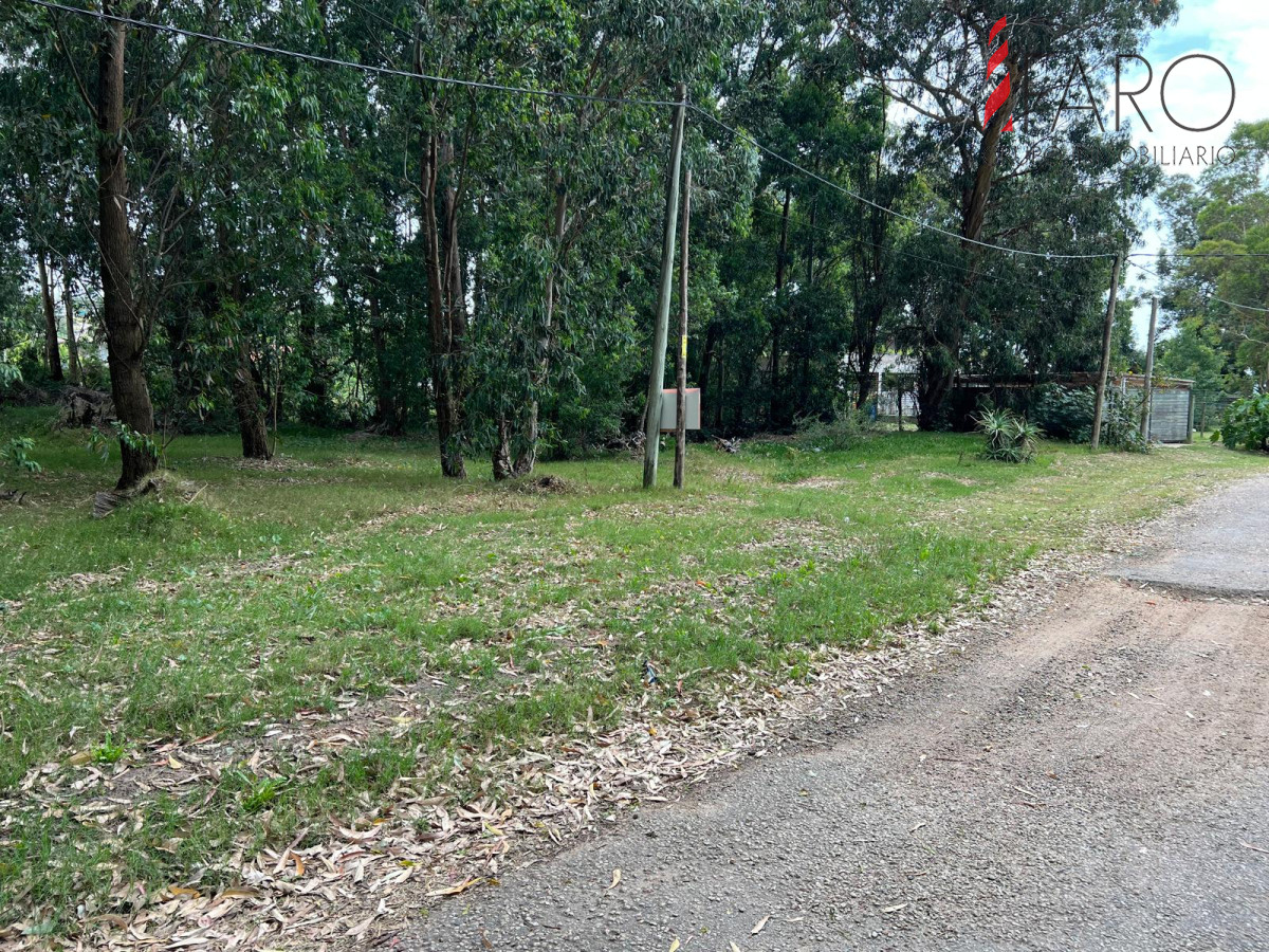Terreno en Venta en Punta Ballena.