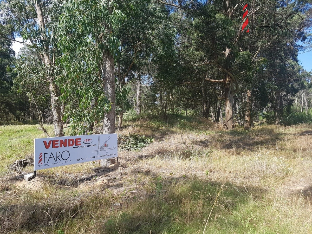 Terreno en La Barra en ingreso a Camino de los Flamengos